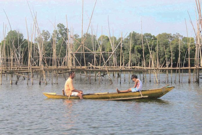 panay-negros-waters-1 The coastal waters of Camanci and Mambuquiao in Batan, Altavas and New Washington in Batan Bay, Aklan are safe from the red tide toxin, according to the Bureau of Fisheries and Aquatic Resources.