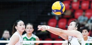 Negrense Cassie Carballo of University of Santo Tomas Golden Tigresses tosses the ball as her teammate Pia Abbu looks on. PHOTO COURTESY OF V-LEAGUE
