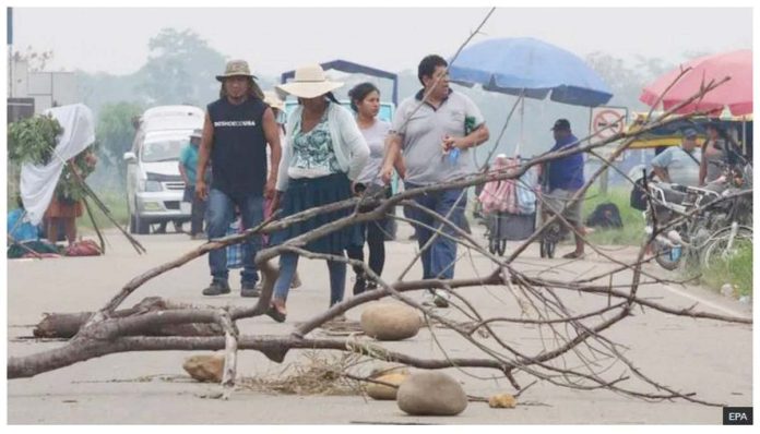 Bolivia A woman wearing a straw hat and a small group of other people walk on a road strewn with rocks and branches. The branches are blocking the road and are part of a blockade installed by followers of former president Evo Morales in Bolivia. EPA