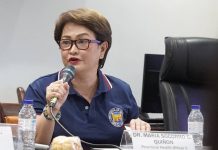 Iloilo dengue cases remain above safe levels – IPHO QUIÑON