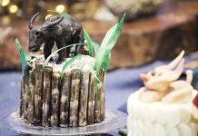 Bacolod City seen as PH’s pastry capital Bacolod City could become the “Pastry Capital of the Philippines” with its wide array of locally-made cakes, pastries, and desserts, a globally renowned chef said. Photo shows cake entries during the 2nd MassKanamit Culinary Showdown. BACOLOD CITY TOURISM OFFICE PHOTO