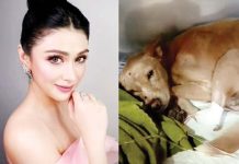 Carla Abellana (left) and the dog she rescued. @CARLAANGELINE/INSTAGRAM PHOTOS