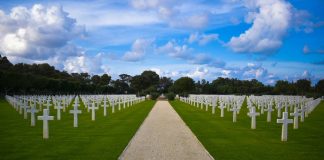 Photo courtesy of Malek Larif/Unsplash