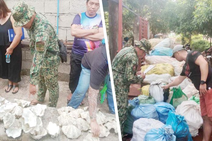 giant-clams Around 2,800 kilos of giant clam shells valued at P4.2 million were seized by the Regional Maritime Unit 6 and Carles police station in a joint operation in Purok 4, Barangay Lantangan, Gigantes Island, Carles, Iloilo on Oct.5, 2024. REGIONAL MARITIME UNIT 6 PHOTOS
