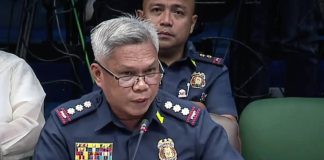 Former Mandaluyong police chief Hector Grijaldo. Screengrab/Senate of the Philippines