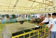 ‘Peryahan’ operation in Bacolod plaza halted “Peryahan” operating inside the Bacolod City Public Plaza has no permit, according to the City Legal Office. MAE SINGUAY/PN