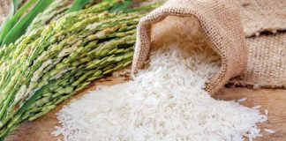 India's lifting of the export ban on non-basmati white rice will relieve price pressure in the international market. PHOTO COURTESY OF PHILIPPINE DAILY INQUIRER