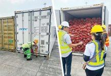 P3.5M worth of illegally imported yellow onions from China seized The continued collaboration of the Department of Agriculture’s Bureau of Plant Industry and the Bureau of Customs led to the seizure of a 40-foot container van filled with fresh yellow onions, valued at approximately P3.5 million, from China at the Port of Manila. DEPARTMENT OF AGRICULTURE PHOTOS