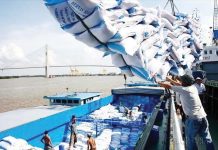 PH rice imports hit record high Vietnam delivered 3.04 million metric tons of rice in the Philippines as of Nov. 7, 2024. VIETNAM NEWS AGENCY PHOTO