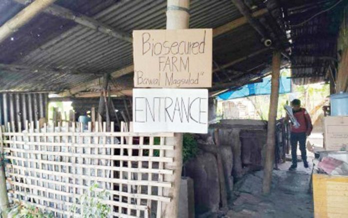 antique_ASF_status_1_resized A hog farm in San Jose de Buenavista validated as free from African Swine Fever (ASF) on May 31, 2024. ANTIQUE PROVET PHOTO