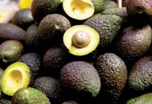 PH sends maiden shipment of Hass avocados to Japan The Hass avocado, known for its smaller size and pebbly skin that turns purplish-black when ripe, is particularly well-suited to Japanese preferences. PHOTO COURTESY OF INQUIRER.NET