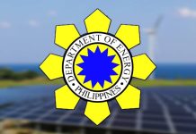 DOE releases terms of reference for next green energy auction