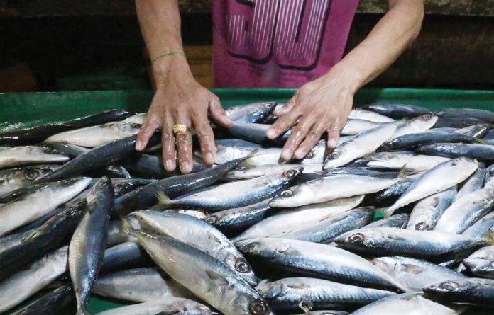 fish-import The Department of Agriculture will allow the imports of 8,280 metric tons of fish for retail in wet markets. GRIG C. MONTEGRANDE/INQUIRER.NET