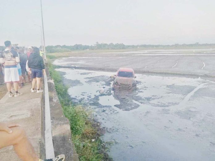 ime-vehicular-1 This pickup accidentally overshot the road and fell into a rice field in Barangay Tabucan, Barotac Nuevo, Iloilo early Monday morning, Nov. 25, 2024. Police said the 21-year-old driver from Banate town was unharmed. RAPURA PHOTO