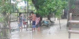 The Iloilo Provincial Health Office says the most effective way to avoid leptospirosis is by staying out of floodwaters and maintaining cleanliness at home to deter rats and pests that thrive in unsanitary environments. PHOTO COURTESY OF DOROTHY PAES