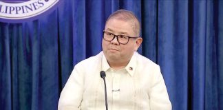 Agriculture Secretary Francisco Tiu Laurel Jr. says Memorandum Order. No. 50 which lifts the temporary import ban on domestic and wild birds from Denmark would take effect immediately. GMA NEWS FILE PHOTO