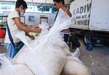 ‘P29-per-kilo rice for all requires over P50B a year’ Beneficiaries from the vulnerable sector buy subsidized rice at P29 per kilo. PNA PHOTO BY STEPHANIE SEVILLANO