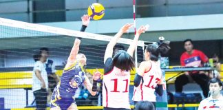 Samjosef Belangel finished with 12 points, five assists, two steals, one rebound, and one block as the Pegasus surged to their fifth consecutive victory in the Korean Basketball League. KBL PHOTO