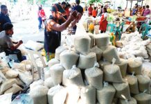 Increased investments under amended RTL to be felt in a year Workers display 20-kilo packs of rice costing PHP29 per kilogram inside the Bureau of Animal and Industry Kadiwa Store on Visayas Avenue, Diliman, Quezon City. The Department of Agriculture on Monday (Dec. 9) said the amendment to the Rice Tariffication Law would trim rice prices in local markets and boosts agricultural productivity. PNA PHOTO BY BEN BRIONES