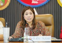 DBM opens e-market for gov’t suppliers “With the eMarketplace, government agencies or procuring entities can now just ‘add to cart’ or directly purchase their common-use supplies and equipment (CSEs) requirements from competent and reputable suppliers,” says Budget Secretary Amenah Pangandaman. DBM PHOTO