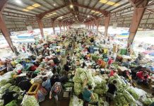 World food prices reach 19-month high in November – UN Traders and buyers say only a small quantity of vegetables was delivered to the La Trinidad trading post from farms in Benguet, Ifugao, Kalinga and Mountain Province on Oct. 25, 2024, because roads were damaged by heavy rains brought about by Severe Tropical Storm Kristine. SANDRA AGUINALDO/GMA INTEGRATED NEWS FILE PHOTO