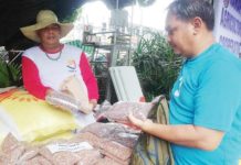 P36-P38 per kilo rice at Kadiwa stalls in January 2025 – DA Nelson Guevarra buys affordable rice at the Kadiwa ng Pangulo pop-up store at the Antique capitol grounds. PNA PHOTO BY ANNABEL CONSUELO J. PETINGLAY