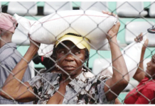 Number of internally displaced people in Haiti tripled in 2024 A woman receives food during a solidarity day organized by the Haitian government in Port-au-Prince, Haiti. She carries a sack on her head. Many Haitians have been forced to flee due to gang violence. EPA