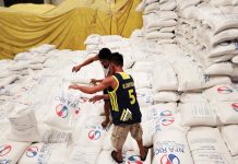 NFA to buy 300,000 MT of rice in 2025
