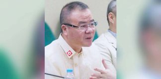 Chinese national Li Duan Wang is a native of Fujian, the People’s Republic of China who moved to the Philippines in 1991 as a development investor.