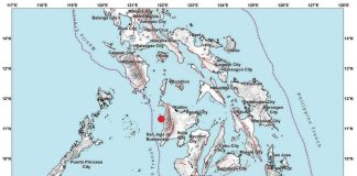 A magnitude 2.5 earthquake struck Tibiao, Antique at 7:54 p.m. on Wednesday, January 8.