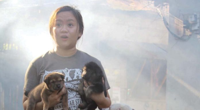 Rescuing Love: Alyssa Romerosa and her mission to save ‘aspins’