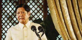 President Ferdinand “Bongbong” Marcos Jr. says Solicitor General Menardo Guevarra, on behalf of the Philippine government, would be the one to answer the petition questioning the legality of the 2025 national budget.