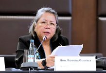 PH calls for energy transition support from oil-producing countries Department of Energy Undersecretary Rowena Guevara says the Philippines will need 52.8 gigawatts of new renewable energy (RE) installed capacity in the next 20 years to hit its RE targets. DOE PHOTO