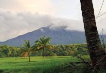 STRONG ERUPTION IMMINENT? Phivolcs cites Kanlaon ground deformation Mt. Kanlaon as seen from Barangay Manghanoy, La Castellana, Negros Occidental at 6:18 a.m. on Sunday, January 12, 2025. JIANNA ALDRIN ALDRIN PHOTO