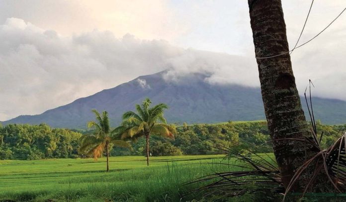 kanlaon_1_resized Mt. Kanlaon as seen from Barangay Manghanoy, La Castellana, Negros Occidental at 6:18 a.m. on Sunday, January 12, 2025. JIANNA ALDRIN ALDRIN PHOTO