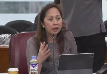 NGCP not solely to blame for project delays, DOE admits