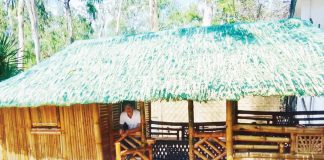 The Bago City Government in Negros Occidental will provide 50 nipa huts to the remaining 23 families displaced by the Mt. Kanlaon eruption on Dec. 9, 2024. PHOTO COURTESY OF BAGO CITY PIO
