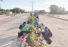 City gov’t spearheading ‘simple program’ for Sunset Boulevard full opening Personnel of the Iloilo City Government Beautification Program planted ornamental plants on the center island of Iloilo Sunset Boulevard, providing a fresh sight for viewers and passersby. ILOILO CITY GOV'T BEAUTIFICATION PROGRAM/FB PHOTO