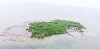 The Suyac Island Mangrove Eco-Park is the home of one of the oldest and biggest Sonneratia alba mangroves in Negros Island, and considered the first fully community-based eco-tourism site established by the Sagay City Government. SAGAY CITY LGU PHOTO