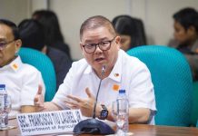 DA Sec Laurel to address 72nd PHILSUTECH convention Agriculture Secretary Francisco Tiu Laurel Jr. noted a 7,000-ton deficit in onion supply this February and importation was a "tactical" move, assuring that the government would only import a limited quantity to bridge the gap. PHOTOS COURTESY OF GMA INTEGRATED NEWS