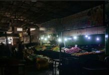 Minister blames monkey for Sri Lanka nationwide power cut Fruit stalls are seen in Kirimandala Market during a power cut in Colombo, Sri Lanka. GETTY IMAGES