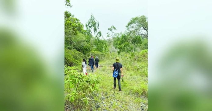 antique pic_superimposed The proposal to declare four upland towns in Antique – Patnongon, San Remigio, Sibalom, and Valderrama – as mineral reservation could threaten the province’s environmental integrity, community well-being, and sustainable development goals. Photo shows San Remigio’s verdant forest. SAN REMIGIO MENRO PHOTO