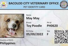 Bacolod City to impose pet ID system The pet identification card to be issued by the Bacolod City Veterinary Office contains the pet’s name, breed, birth date, and country of birth, among others.