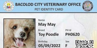 The pet identification card to be issued by the Bacolod City Veterinary Office contains the pet’s name, breed, birth date, and country of birth, among others.