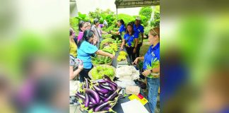Vegetables, eggs, fruits, and homemade delicacies were sold at “Lab Merkado KNP” (Kadiwa ng Pangulo) at the Atrium of the Bacolod City Government Center on February 13 and 14. BCNC PHOTO