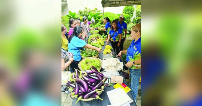 lab merkado_superimposed Vegetables, eggs, fruits, and homemade delicacies were sold at “Lab Merkado KNP” (Kadiwa ng Pangulo) at the Atrium of the Bacolod City Government Center on February 13 and 14. BCNC PHOTO