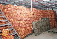 DA to inspect onion cold storage facilities to guard against hoarding This cold storage facility in Nueva Ecija is managed by the Kaliwanagan San Agustin Multi-Purpose Cooperative. SCJ.GOV.PH PHOTO