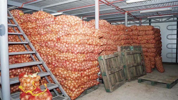 onions_resized This cold storage facility in Nueva Ecija is managed by the Kaliwanagan San Agustin Multi-Purpose Cooperative. SCJ.GOV.PH PHOTO