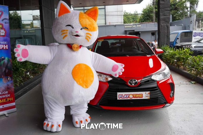 photo-cat