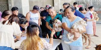 Residents of Iloilo City bring their pets for free rabies vaccinations during the city's anti-rabies drive in the first week of March. The initiative aims to promote public health and animal welfare. ILOILO CITY- OFFICE OF THE VETERINARIAN PHOTO